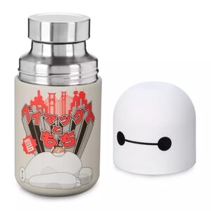 Baymax Stainless Steel Water Bottle